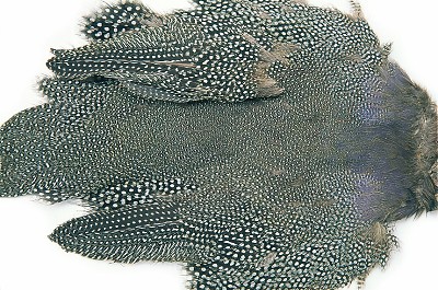 Veniard Guinea Fowl Skin - Hud, vinger og hode - 404004000012 - 1