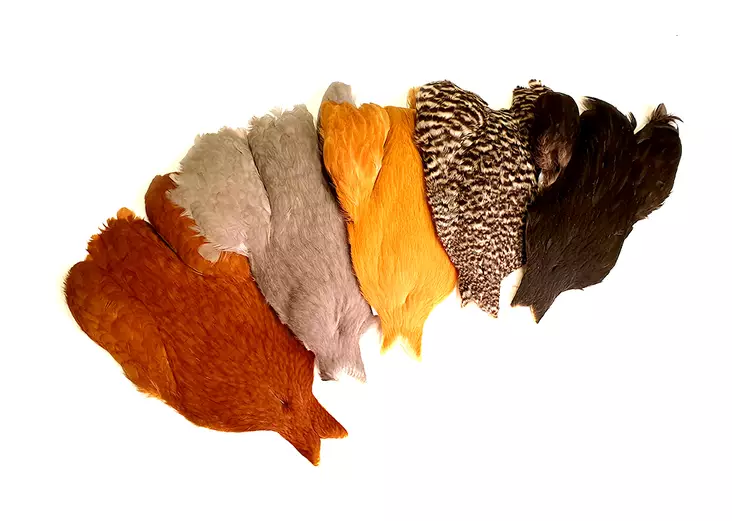 Whiting 4B's Hen Cape - Andre nakker og sadler - 748012 - 1