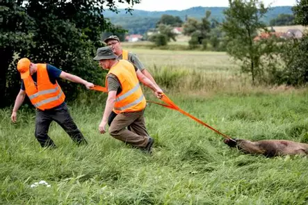 Eurohunt Threeway game recovery aid - Ulike jaktprodukter - 4250392311093 - 2