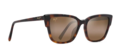 Maui Jim Kou - Tortoise Frame with HCL Bronze Lens - Glasslinser - 603429070953 - 1