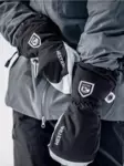 Hestra Army Leather Heli Ski Mitten - Hansker - 7332540615073 - 3