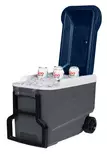 Igloo Maxcold R 38l Cooler Dark Gray - Kyllådar og -vesker - 0034223350253 - 5