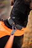 Non-stop Protector Collar #40 - Hundebånd - 7071652141413 - 4