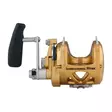Penn International 50VISX Gold - Lette kystsneller - 031324167063 - 3