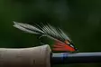 Pro Sportfisher Pro Jungle Cock - Jungeltupp - 671227924693 - 3