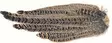 Hen Pheasant Complete Tail - Rumper - 5056304604623 - 1