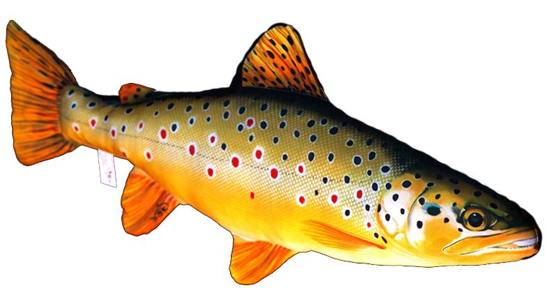 Gaby Taimen Pehmokala - Myke fisker - 5905279175013 - 1