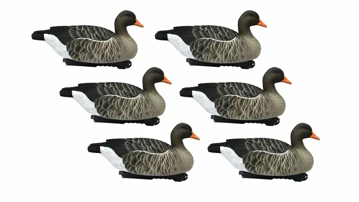 Final Approach Greylag Goose Floaters 6pcs - Lokkende bilder / -diagram - 728614276603 - 1