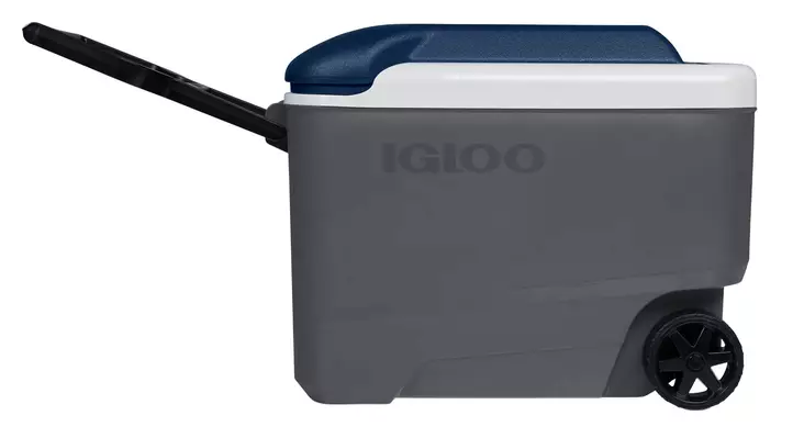 Igloo Maxcold R 38l Cooler Dark Gray - Kyllådar og -vesker - 0034223350253 - 1
