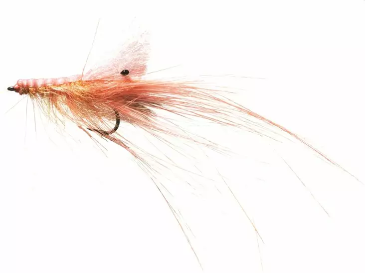 Pattegris Pink - Krepsereker - 5707549240533 - 1