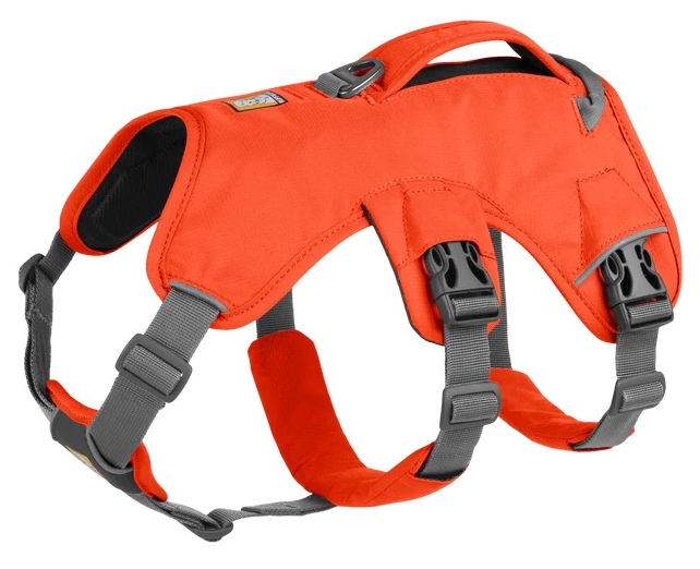 Ruffwear Web Master Harness Blaze Orange - Hundeseler - 748960736613 - 1