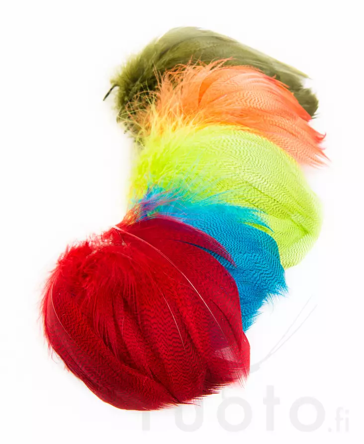 Mallard Flank Barred Large - Øvrige fjær - 40450300033 - 1