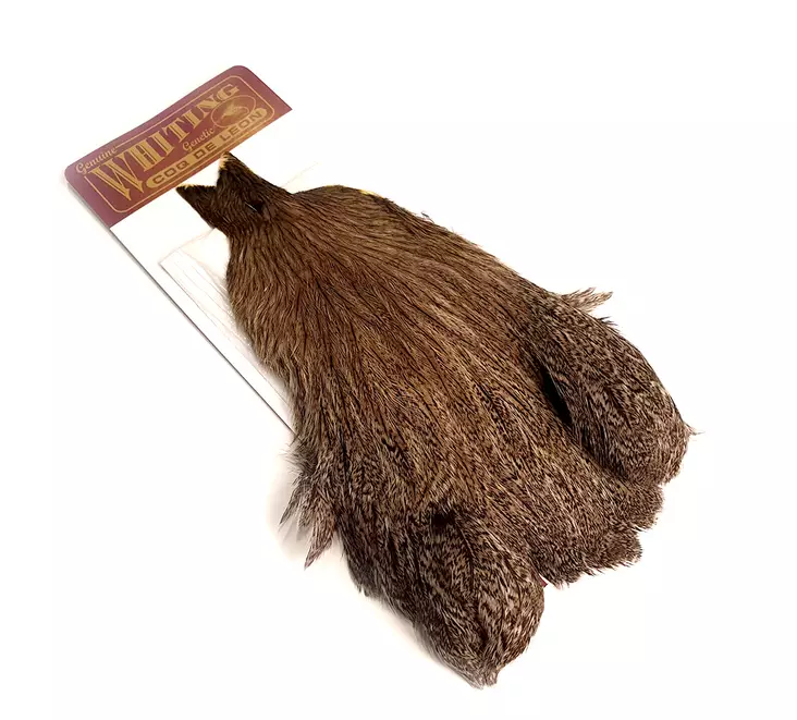 Whiting Coq De Leon Hen Cape - Andre hønsehakker og -salrygger - 616044113 - 1