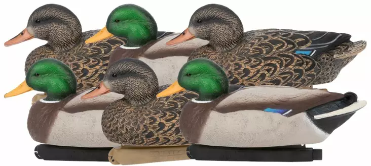Zink Mallard Floater Decoys 6-pack - Lokkende bilder / -diagram - 888151061183 - 1