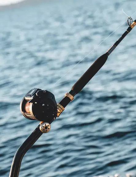 Daiwa Tanacom X 66XXHST - Havfiskestenger til dyphavsfiske - 5055545247774 - 2