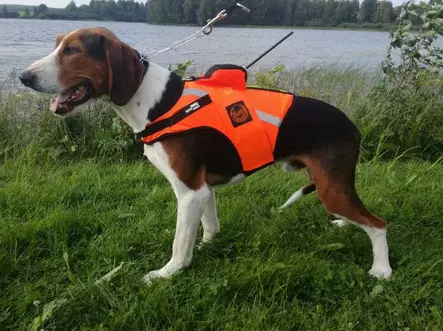 Tracker Kardog Jehu Koiraliivi - Hundjakker og -vester - A2900034 - 1