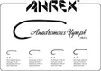 Ahrex HR416 Anadromous Nymph - Laksekroker - 655043957554 - 3