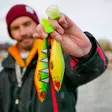 Pike shad 24cm 112g - Gummibeten for gjedde - 2510202214 - 14