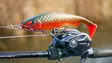 Pike shad 24cm 112g - Gummibeten for gjedde - 2510202214 - 15