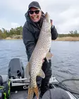 Pike shad 24cm 112g - Gummibeten for gjedde - 2510202214 - 16