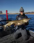 Pike shad 24cm 112g - Gummibeten for gjedde - 2510202214 - 18