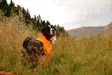 Non-stop Dogwear Protector Suit M Orange/Black - Hundejakker og -vester - 7071652045384 - 5