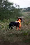 Non-stop Dogwear Protector Suit M Orange/Black - Hundejakker og -vester - 7071652045384 - 4