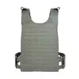 Tasmanian Tiger PC LP LC Frame IRR SM - Plate carriers - 4013236404944 - 3