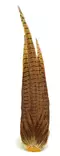 Veniard Cock Pheasant Complete Tail - Rumper - 5056304604272 - 1