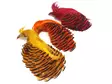 Golden Pheasant Complete Head 1st Qualit - Hud, vinger og hode - 404001000024 - 1