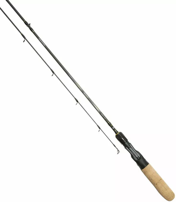 Daiwa Goldcast 602MB 10-30g - Daiwa-spinnestang - 5055545203084 - 1
