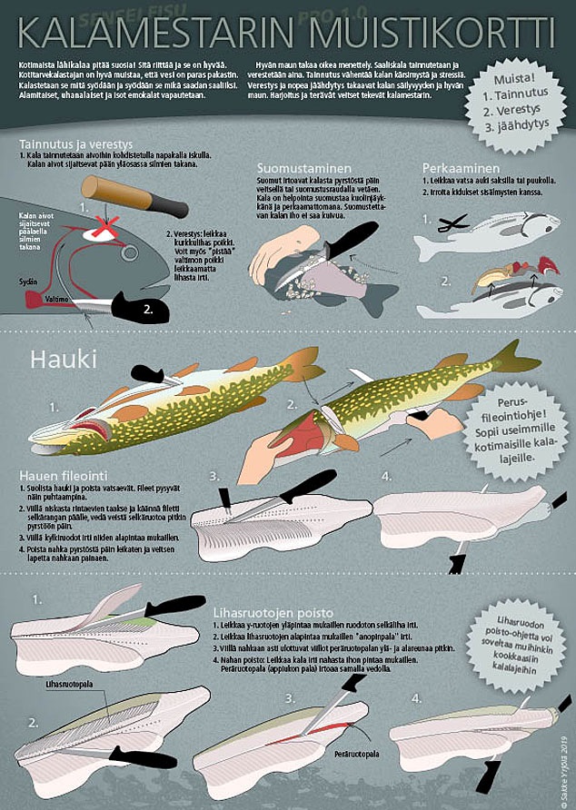 Sakke Yrjölä Kalamestarin Muistikortti A4-kortti - Trykksaker - 6430048500714 - 1