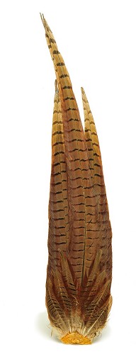 Veniard Cock Pheasant Complete Tail - Rumper - 5056304604272 - 1