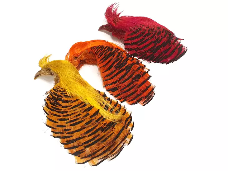 Golden Pheasant Complete Head 1st Qualit - Hud, vinger og hode - 404001000024 - 1