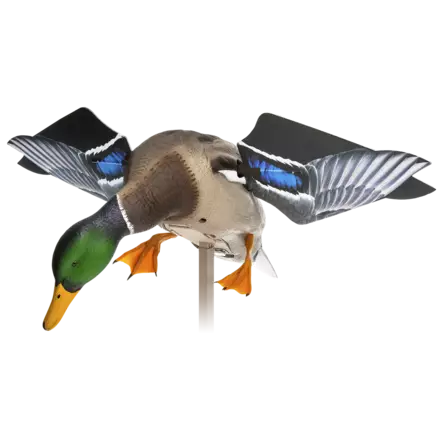 Avian-X Powerflight Mallard - Lokkende bilder / -diagram - 082271001795 - 1