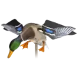Avian-X Powerflight Mallard - Lokkende bilder / -diagram - 082271001795 - 1
