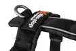 Non-stop Dogwear Line Harness 5.0 Orange - Hundeseler - 7071652021845 - 3