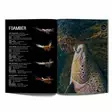 Top Salmon Flies Vol.2 - Litteratur - 9789526879215 - 3