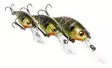 Westin BuzzBite Crankbait 4cm 4g - Vobbler under 6 cm - 145155 - 1