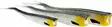 Westin TwinTeez V-Tail 20cm - Vertikaljigger - 1734055 - 8
