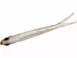 Westin TwinTeez V2 14,5cm - Vertikaljigger - 570754941005 - 8
