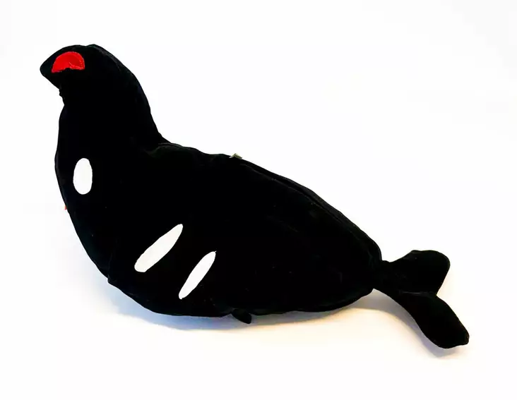 Bear Claw Samettiteeri - Lokkende bilder / -diagram - 6419773613555 - 1