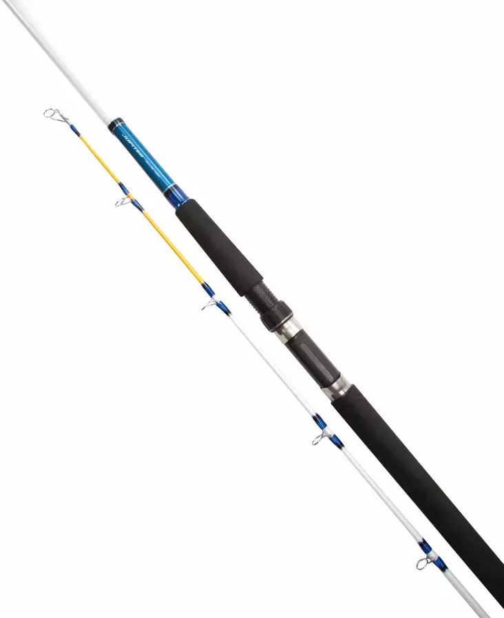 Daiwa Jupiter JTR602MH - Daiwa -trollingstangen - 5055161893065 - 1