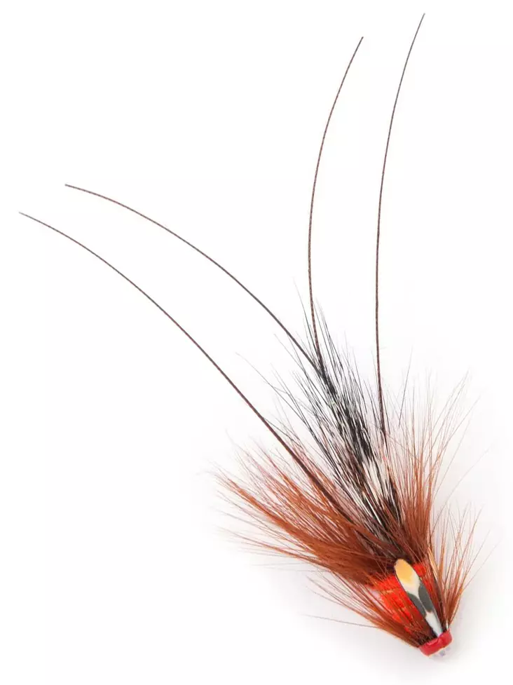 Pot Belly Pig - Fl. Fire Red - Rørfluer - 7033841055765 - 1