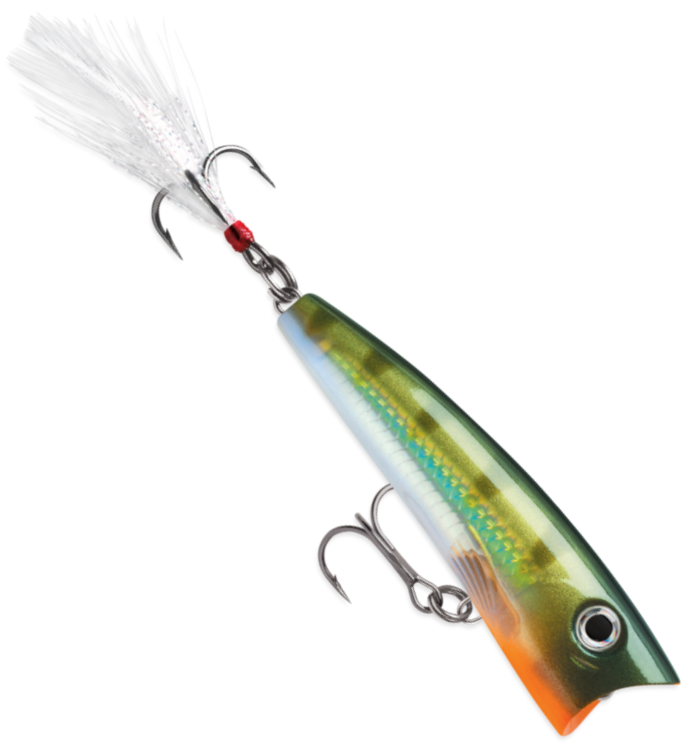 Rapala X-Rap Pop 7cm 11g - Overflatebehandlinger - 1730010045 - 1