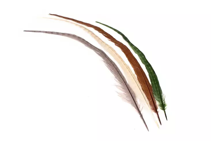 Silvergrey Cock Pheasant Centre Tails - Rumper - 404503000025 - 1