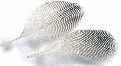 Veniard Teal Flank Feathers - Øvrige fjær - 5056304604692 - 1