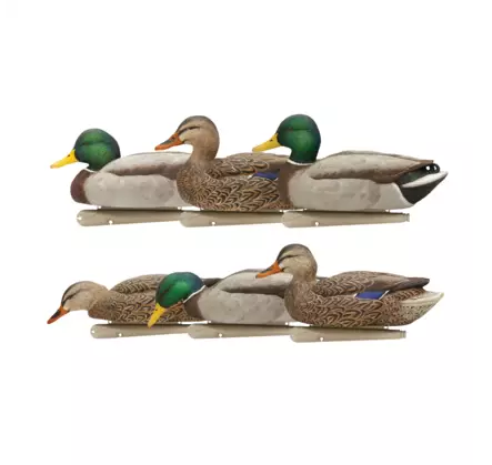 Avian-X Topflight Fusion Mallards 6pcs - Lokkende bilder / -diagram - 810280080766 - 1