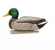 Avian-X Topflight Fusion Mallards 6pcs - Lokkende bilder / -diagram - 810280080766 - 8