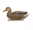 Avian-X Topflight Fusion Mallards 6pcs - Lokkende bilder / -diagram - 810280080766 - 5